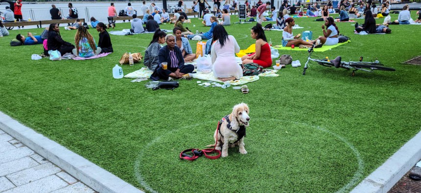 New Yorkers social distanced at Domino Park in Brooklyn this summer.