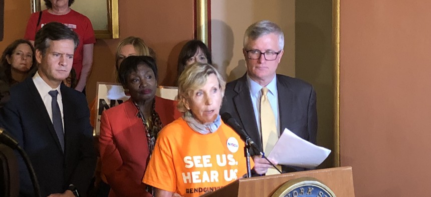 New York state Senate Democrats hold a press conference on a gun control bill.