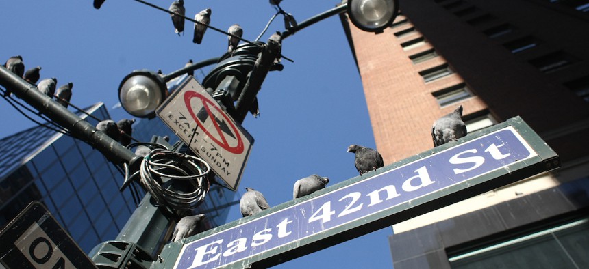 Cuomo shot down the Bird-Friendly Building Council. 