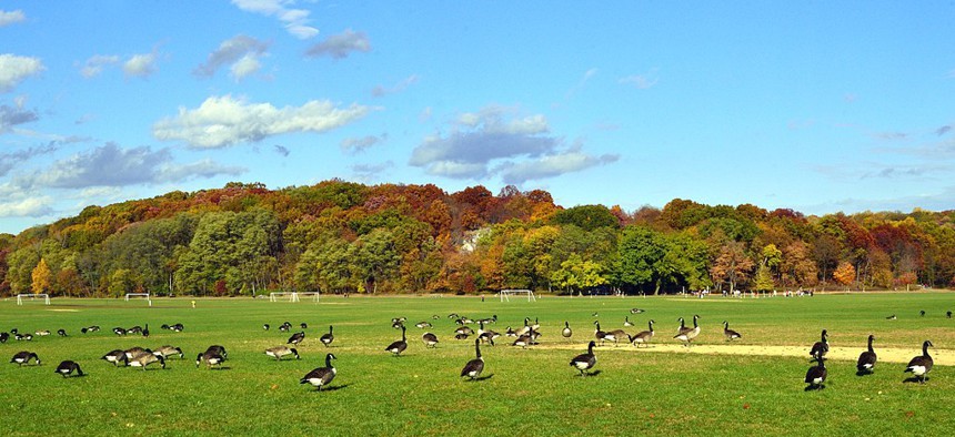 Van Cortlandt Park in the Bronx.