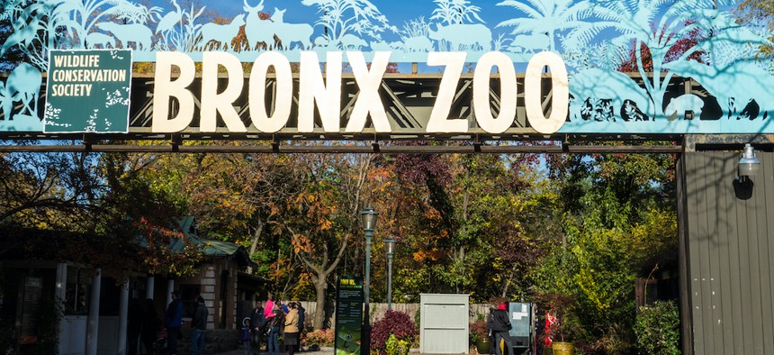 The Bronx Zoo