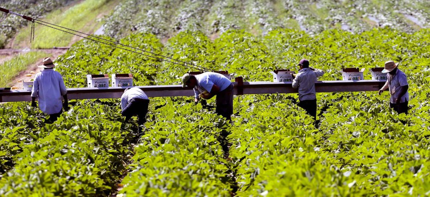 A New York State wage board has until the end of the year to decide on potential changes to overtime rules under the Farm Laborers Fair Labor Practices Act. 