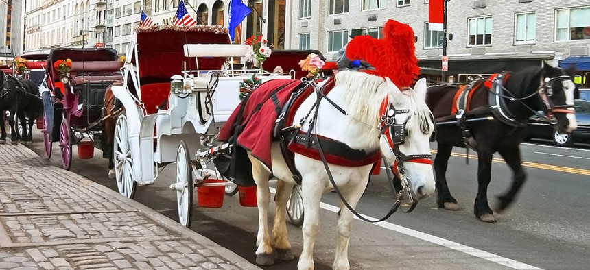 A horse and carriage at Central Park.