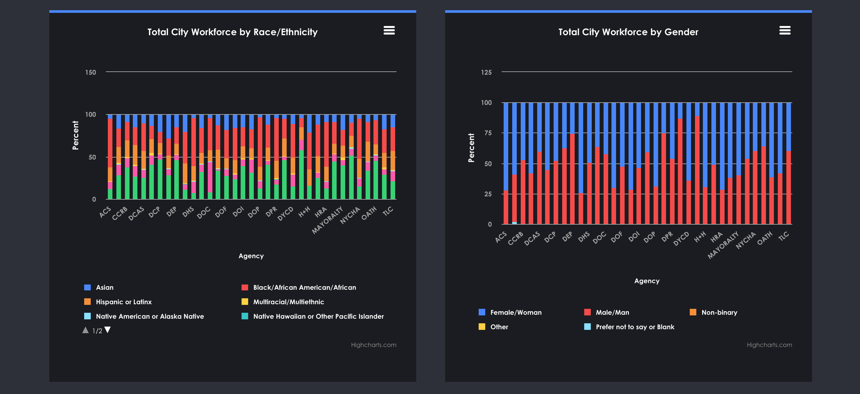 Screenshot from the new EquityNYC website.