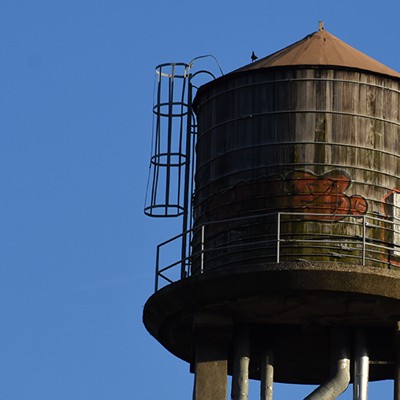 Inspectors Reported Contamination In Water Tanks Nycha Had It Erased City State New York