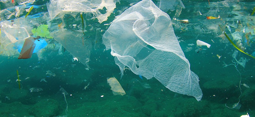 Plastic bags floating in water.