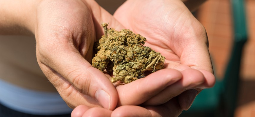 Hands holding a Marijuana bud