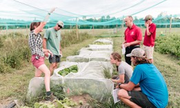 Workers with the Cornell Cooperative Extension examine crops.