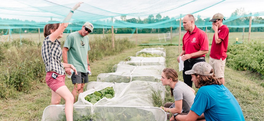 Workers with the Cornell Cooperative Extension examine crops.