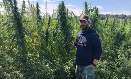 Daniel Dolgin is one of New York's first licensed hemp growers.