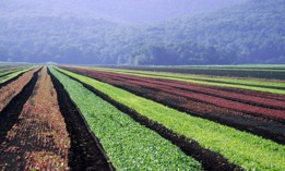 City & State presents the Agriculture Power 50.