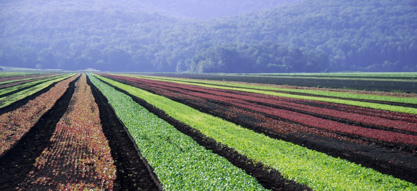 City & State presents the Agriculture Power 50.