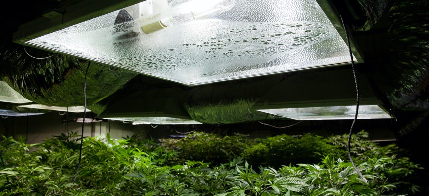 Marijuana grow facilities use high-wattage light fixtures.