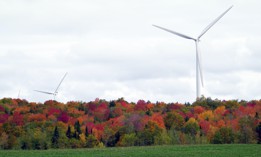 The Maple Ridge wind farm in New York.