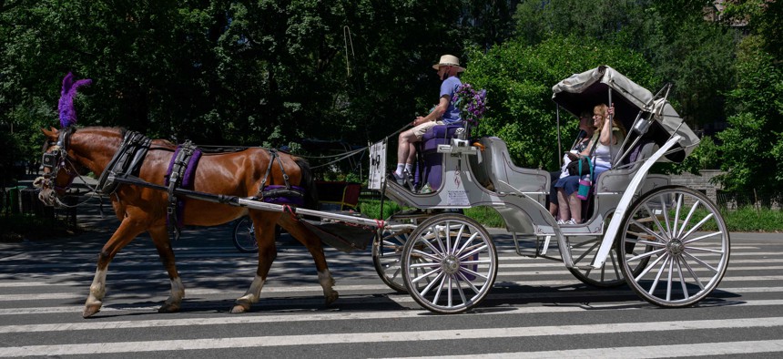 A horse-drawn carriage with customers rides through Central Park.