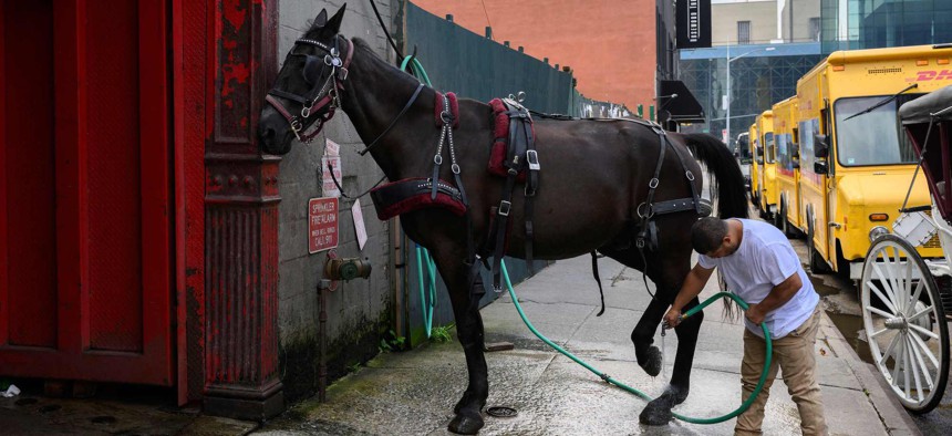 It appears the New York City Council has turned a deaf ear to recent calls for an end to horse-drawn carriages, even with a bill introduced supporting electric carriages, writes Elizabeth Forel, cofounder of Committee for Compassionate & Responsible Tourism and President of the Coalition for NYC Animals.