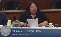 Commissioner Rossana Rosado shared crime data with state lawmakers.