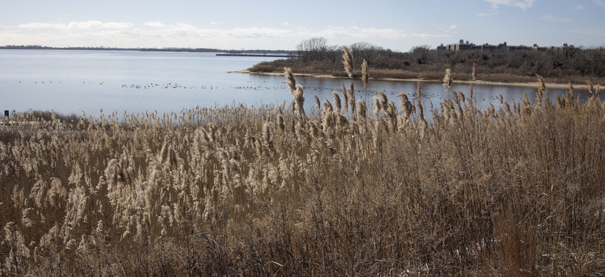 Shirley Chisholm State Park