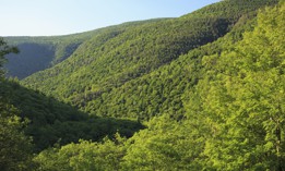 On March 31, Gov. Kathy Hochul started discussing a change to the way that New York State measures methane emissions, a rather technical change that climate activists argued would significantly undermine the state’s environmental and green energy goals.