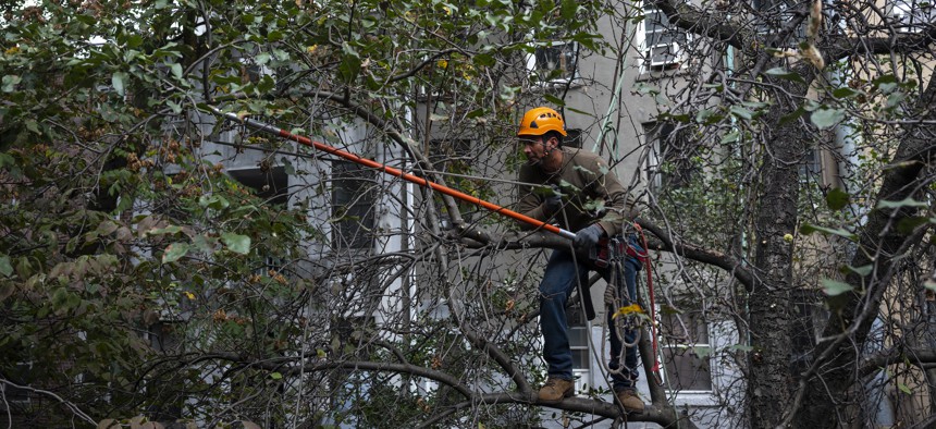 The New York City Department of Parks and Recreation manages public pruning, but seasonal staffing shortages and an issue with a major contract have caused a backlog of service requests.