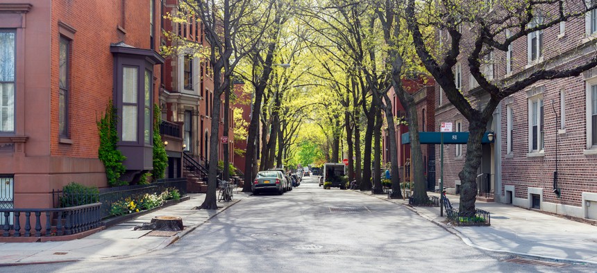 Council Member Erik Bottcher is sponsoring a bill that would require the department to create an Urban Forestry Master Plan “that identifies strategies and sets goals to protect, care for and expand the city’s urban forest canopy” by July 31, 2024.