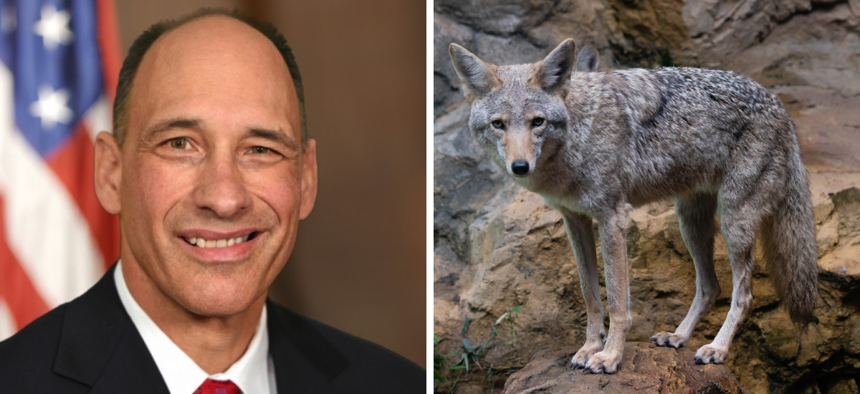 Assembly Member John Lemondes Jr. called coyotes "one of the most economically destructive species in New York."