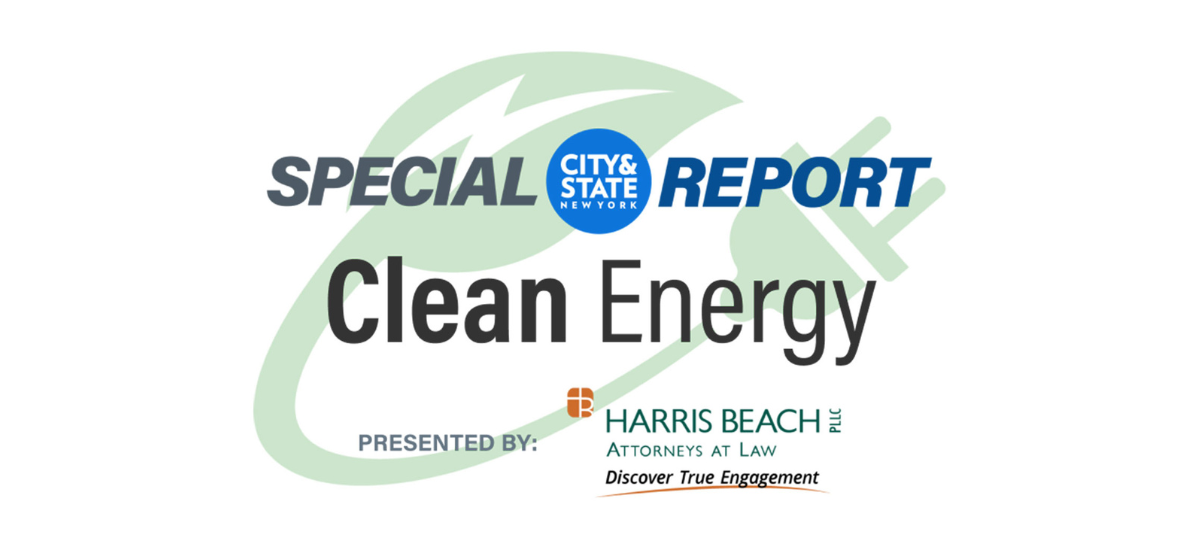 Special Report: Clean Energy - Vimarsana News