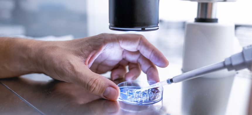 A doctor prepares embryo cultivation plates in a fertility laboratory.