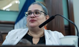 Deputy Speaker Diana Ayala is term-limited out of office at the end of 2025.