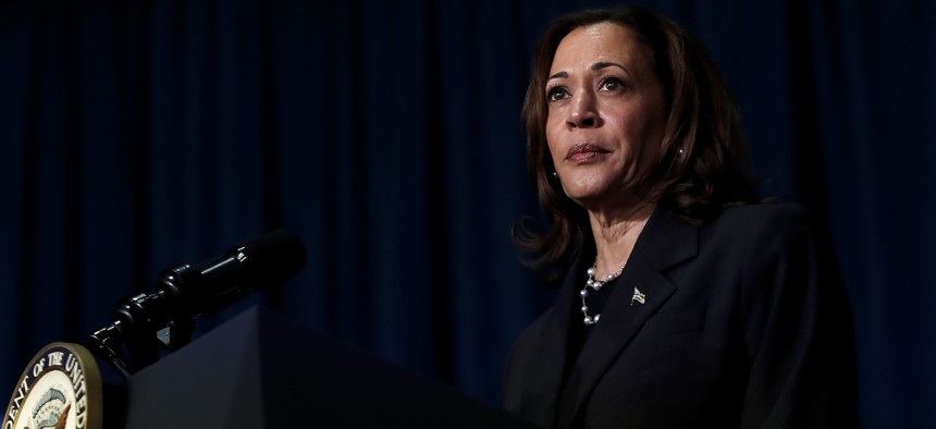 Vice President Kamala Harris in Kalamazoo, Michigan on July 17, 2024.