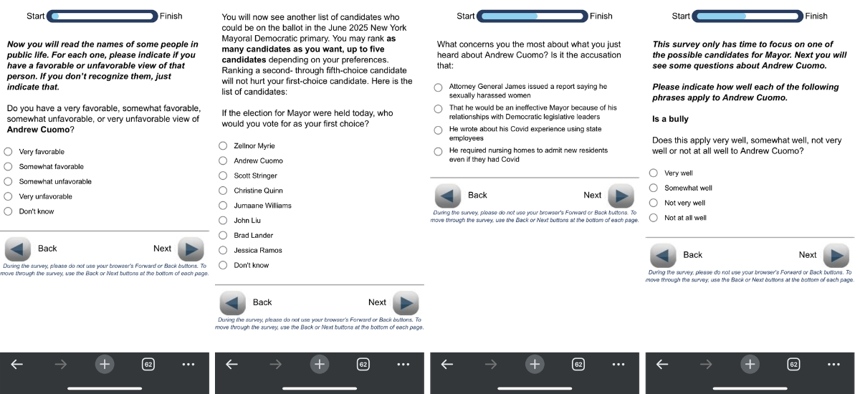 Screenshots of survey questions included in a poll about former Gov. Andrew Cuomo
