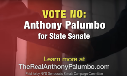 A screengrab from a new ad criticizing state Sen. Anthony Palumbo paid for by the state Senate Democratic Campaign Committee