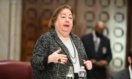 State Sen. Liz Krueger is proposing legislation that would empower the New York City Council. 