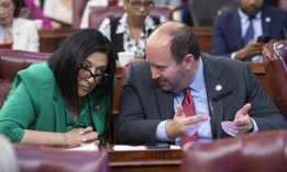 It’s never too early to angle. Republican Council Members Joann Ariola and David Carr are both interested in being minority leader in 2026.