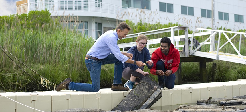 Professor Chris Gobler and students check on a colony of bivalves they are researching at the Stony Brook Southampton Marine Sciences Center.