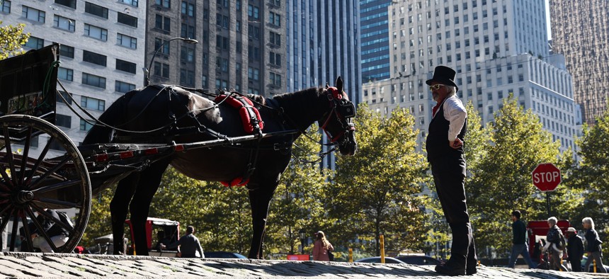 A horse-drawn carriage driver stands near his horse outside Central Park on Oct. 22, 2022.