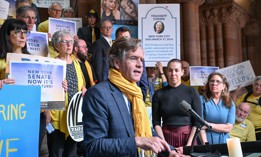 State Sen. Brad Hoylman-Sigal will likely become Manhattan borough president next year, setting off a special election to replace him in the state Senate.