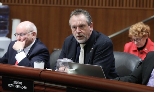State Sen. Peter Oberacker speaks during a joint budget hearing on Feb. 7, 2024.