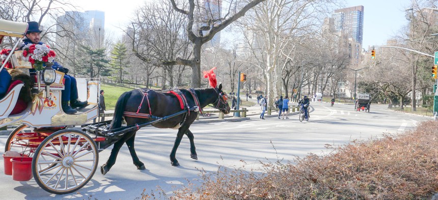 Horse drawn carriages circle Central Park daily.