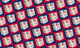 New Yorkers will consider tweaking the city’s land use process this year, as well as switching up the election calendar.