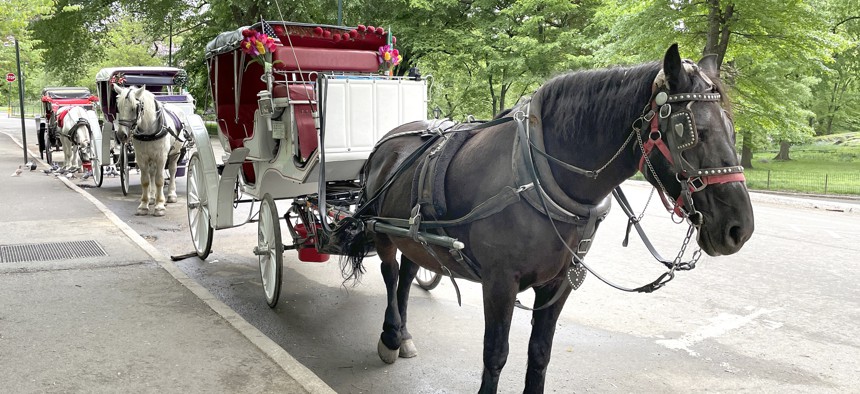 The fight over horse carriages is ramping up.