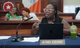 Council Member Althea Stevens organized the meeting, along with Council Member Lincoln Restler.