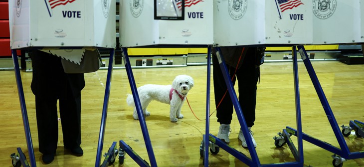Everyone and their dog is voting in the New York City election.