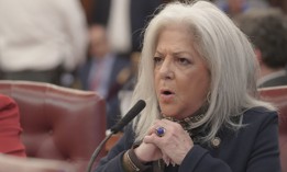 Council Member Vickie Paladino