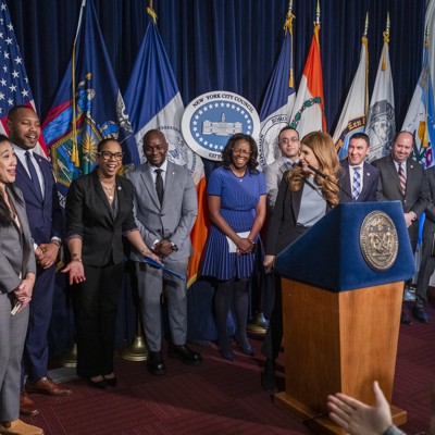 This term’s New York City Council Committees have dropped