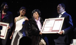 Vivian Cook, seen here at a 2012 event, has served in the Assembly since 1991.