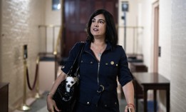 Rep. Nicole Malliotakis, and her dog Luna, may have been saved by the Supreme Court