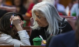 Vickie Paladino is part of the City Council’s five-member GOP minority.