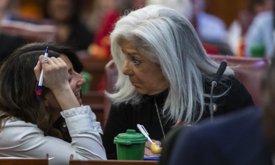 Vickie Paladino is part of the City Council’s five-member GOP minority.