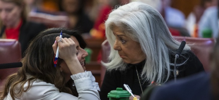 Vickie Paladino is part of the City Council’s five-member GOP minority.